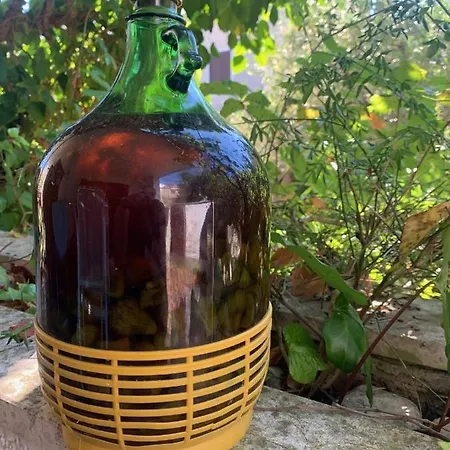 Apartament Natasa Punat