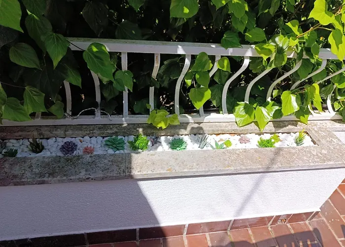 Апартаменты Natasa Пунат